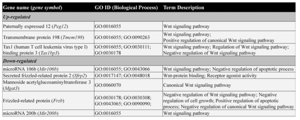 사이토카인 유래 펩타이드에 의해 변화하는 Wnt signaling pathway 관련 유전자 리스트