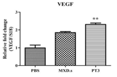 신생혈관형성 인자 VEGF 변화