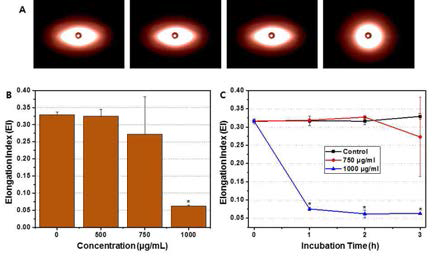 (A) 0 μg/mL, 500 μg/mL, 750 μg/mL, and 1000 μg/mL 청색광 GQD에 노출된 적혈구의 레이저 회절 이미지 (B) 3시간동안 blue GQD 농도별 노출된 적혈구의 변형능 측정 (C) 시간별 청색광 GQD에 노출된 적혈구의 변형능 측정