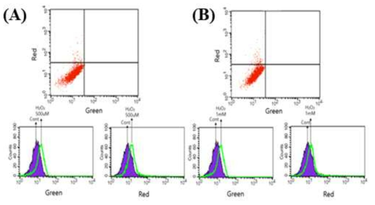 FACS를 이용한 TAT-S3 peptide probe와 Mitotracker의 형광 측정