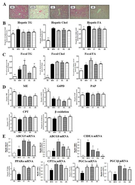 Effect of supplementation of luteolin and extracts of dandelion and artichoke containing high luteolin on the hepatic morphology (magnification ×200) (A), hepatic lipid levels (B), fecal lipid levels (C), hepatic lipid-regulating enzyme activities (D), and hepatic gene expression (E) in C57BL/6N mice fed a high-fat diet. Data are mean±S.E. Significant differences between HFD versus ND are indicated; *p<0.05, **p<0.01, ***p<0.001. abcMeans in the same row not sharing a common superscript are significantly different among the high-fat diet fed groups at p<0.05. ND, nomal diet (AIN-76); HFD, high-fat diet (20% fat, 1% cholesterol); LU, (HFD+0.005% Luteolin); DA, (HFD+0.005% Dandelin containing high luteolin); AR, (HFD+0.005% Artichoke containing high luteolin)