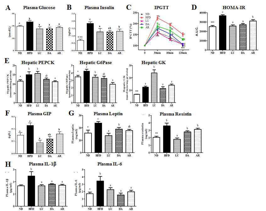 Effect of supplementation of luteolin and extracts of dandelion and artichoke containing high luteolin on the plasma glucose (A) and insulin levels (B), IPGTT (C), HOMA-IR (D), hepatic glucogenic enzyme activity (E), and plasma levels of GIP (F), adipokine (G) and proinflammatory cytokine (H) in C57BL/6N mice fed a high-fat diet. Data are mean±S.E. Significant differences between HFD versus ND are indicated; *p<0.05, **p<0.01, ***p<0.001. abcMeans in the same row not sharing a common superscript are significantly different among the high-fat diet fed groups at p<0.05. ND, nomal diet (AIN-76); HFD, high-fat diet (20% fat, 1% cholesterol); LU, (HFD+0.005% Luteolin); DA, (HFD+0.005% Dandelin containing high luteolin); AR, (HFD+0.005% Artichoke containing high luteolin)