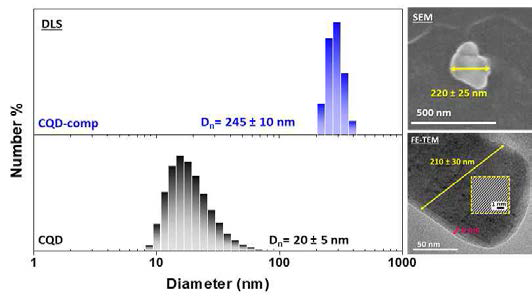 Dual-SRD 양자점복합체의 입자크기 및 표면분석