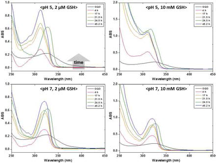 pH, GSH 농도에 따른 양자점복합체의 분해능 평가