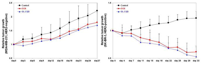 HER2-음성/양성 유방암모델의 tumor growth 비교결과