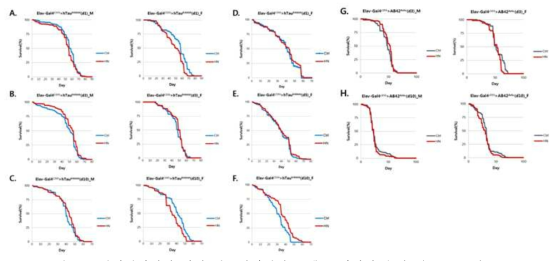 압력테라피에 의한 알츠하이머병 모델 초파리의 수명 테스트 곡선. A-C: Elav-Gal4C155>hTauR406W 초파리 성체단계, D-F: Elav-Gal4C155>hTauR406W 초파리 발달단계, G-H: Elav-Gal4C155>Aβ42Dutch 초파리 성체단계