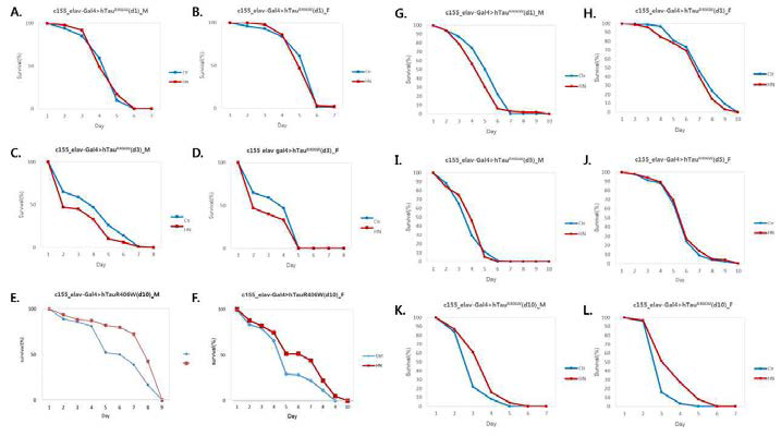 압력테라피에 의한 Elav-Gal4C155>hTauR406W 알츠하이머병 모델 초파리의 산화 스트레스 저항성 테스트 생존 곡선. A-B: 성체단계 노출 1일차, C-D: 성체단계 노출 3일차, E-F: 성체단계 노출 10일차, G-H: 발달단계 노출 1일차, I-J: 발달단계 노출 5일차, K-L: 발달단계 노출 10일차