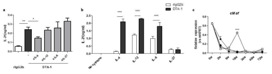 in vitro에서 DTA-1에 의한 IL-21 유도 시스템의 구축 및 이에 작용하는 사이토카인과 전사인자의 확인 (a) CD4+CD25- CD4 T 세포에 항 CD3 항체, 항원제시세포 자극 하에 DTA-1 (2μg/ml)과 IL-21유도 사이토카인들을 중화 항체를 첨가 후 4일간 배양 시 상층액에서의 IL-21 농도 측정. (b) CD4+ CD25- CD62L+ CD44- naive CD4 T 세포에 각각의 IL-21 유도 사이토카인과 DTA-1 첨가하여 4일간 배양 후 상층액에서의 IL-21의 농도 측정. (c) in vitro 조건에서 c-Maf mRNA level 측정함