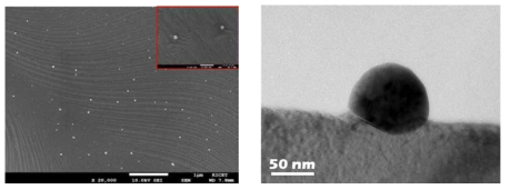 La0.4Sr0.4Ti0.94Cu0.06O3-δ (LST-Cu) 의 900도 10시간 환원 처리에 따른 Cu 나노입자 형성