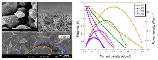 Cell performance of La0.6Sr0.4Co0.2Fe0.8O3 + 10 wt% GDC cathode, LSGM electrolyte, LDC buffer layer and LST44_Ni electrode, Anodic polarization resestance of LST44_Ni febricated aginst reciprocal time at 900 ℃ and FE-SEMimages after cell operation