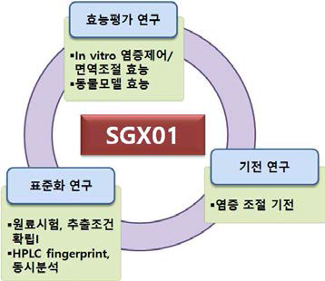 SGX01 연구 범위