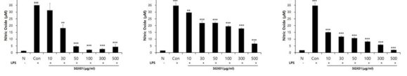 Effect of SGX01 on NO production on RAW2647 cellls (A), MH-S cells (B) and L929 cells (C) induced by LPS