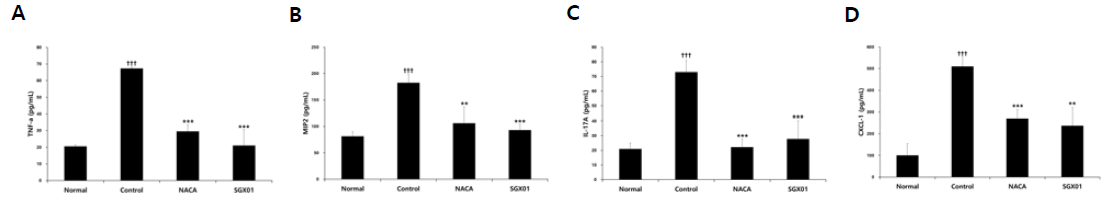 Effect of SGX01 on TNF-α (A), MIP2 (B), IL-17A (C) and CXCL-1 (D) production of BALF in LPS and CFD induced lung injury of mice