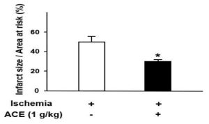 천연물 ACE에 의한 심근경색 억제 효능