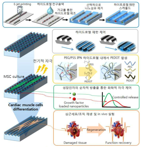 Nanofiber-Templated Hydrogel Lithography를 이용한 전도성 하이드로젤 패턴 스케폴드 제조 및 이를 이용한 심근세포 및 조직 재생 개요