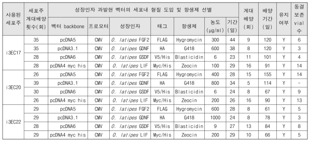 성장인자 과발현 배아 유래 영양세포주