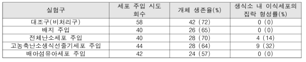 이식 세포 별 개체 생존율 및 생식소 부위 집락 형성 효율 비교