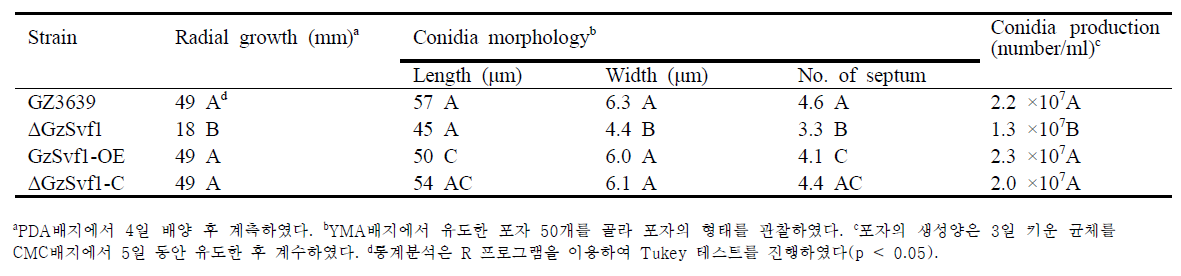 영양생장 및 포자형태