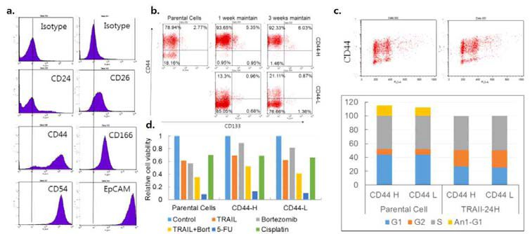 종양줄기세포 표지자 분석. a. SNU-638에서 종양줄기세포 표지자의 발현을 유세포분석 법으로 확인. SNU-638에서 유세포형광분리법으로 CD44세포 분리. b. 분리하여 계대배양된 CD44세포의 CD44, CD133 발현을 유세포분석으로 확인. c. SNU-638세포에 TRAIL을 처리하고 CD44의 발현에 따른 세포주기의 변화를 유세포분석법으로 확인. d. 분리된 CD44+, CD44-세포에 대한 약제 독성을 MTT법으로 측정