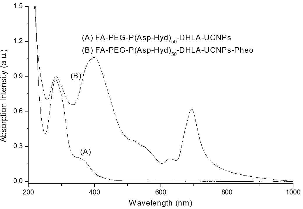UV-visible absorption spectra of (A) (FA-PEG-P(Asp-Hyd)50-DHLA-UCNPs) and (B) (FA-PEG-P(Asp-Hyd)50-DHLA-UCNPs-Pheo