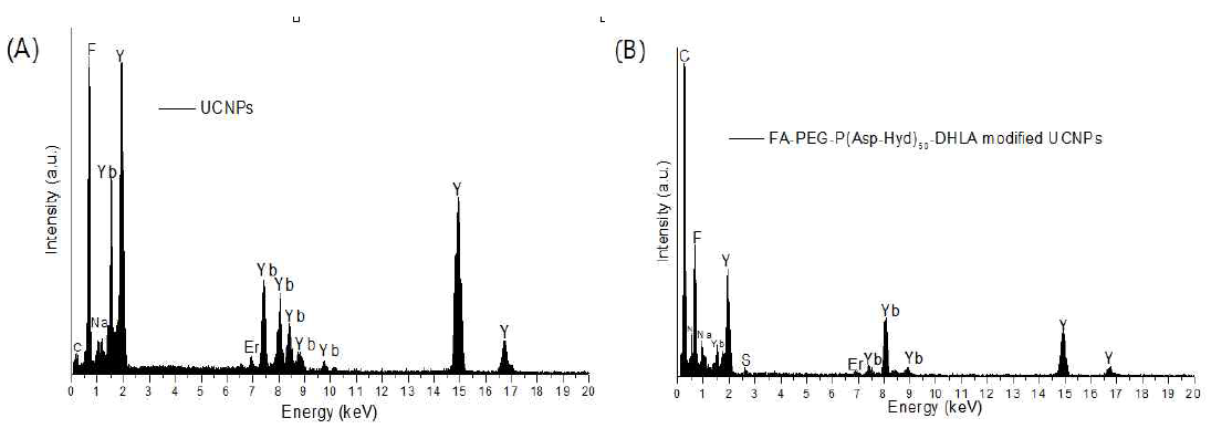 EDS spectra of (A) free UCNPs and (B) modified UCNPs (FA-PEG-P(Asp-Hyd)50-DHLA-UCNPs)