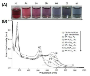 (A) Photographs of AuNCs in aqueous solution; (B) UV-visible absorption spectra of AuNCs in aqueous solution, (a) citrate-stabilized gold nanoparticles, (b) HA-HCA0-Au, (c) HA-HCA 0.1-Au, (d) HA-HCA0.3-Au,(e) HA-HCA0.5-Au, (f) HA-HCA1.0-Au, and (g) HA-HCA2.0-Au