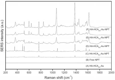 Raman spectra of SERS-different chain lengths. (A) HA-HCaActive AuNCs with NPT, (C) HA-HCA 2.0-Au, (B) free Au-NPT, (E) HA0.-3-HACuA-NPT, (D) HA-HCA0.5- HA-HCA 1.0-Au-NPT, and (F) 2.0-Au-NPT