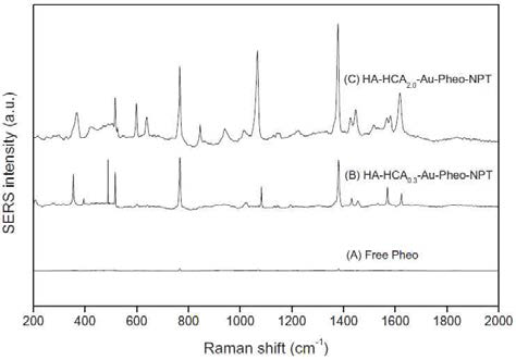 Raman spectra of HeLa cells incubated with SERS-active AuNC samples for 4 h, (A) free Pheo, (B) HA-HCA0.3Au-Pheo-NPT, and (C) HA-HCA2.0-Au-Pheo-NPT