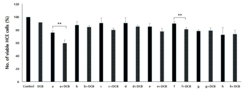 Cytopathic effects of 100 uM DCB on human corneal epithelial cells