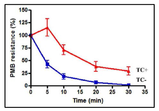 Subinhibitory tetracycline (TC) enhances Salmonella resistance to polymyxin B (PMB)