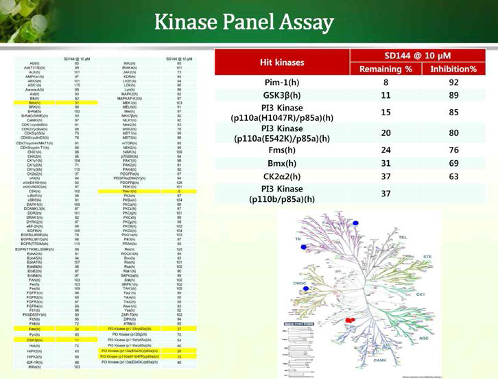 천연물의 Kinase Penal Assy 결과