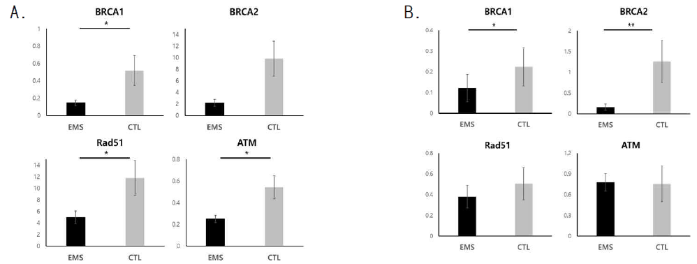 (A) Endometrial mRNA expression of BRCA1, BRCA2, Rad51 and ATM between endometriosis group and controls. *P< .05. (B) Ovarian mRNA expression of BRCA1, BRCA2, Rad51 and ATM between endometriosis group and controls. *P< .05, **P < .01. Results are presented as mean ± SEM values