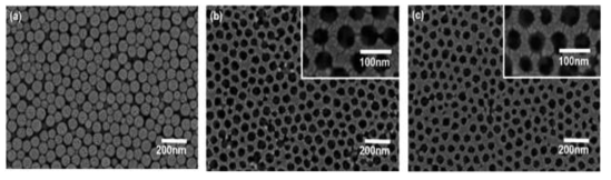 역전된 3차원 TiO2 구조체 질소 도핑 전 후의 표면 전자현미경 사진