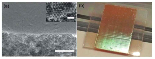 역전된 오팔 TiO2 전극의 전자 현미경 이미지와 Carbz-PAHTDTT 염료 감응된 광전극의 디지털 이미지