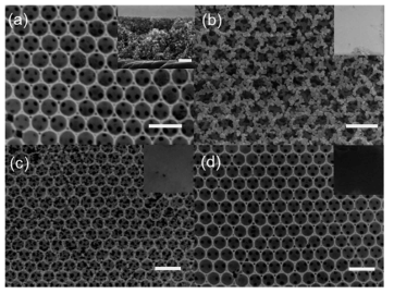 폴리스타이렌 콜로이드 결정을 주형으로 제작한 역전된 오팔 구조, 탄소 증착된 역전된 오팔 구조의 전자 현미경 이미지