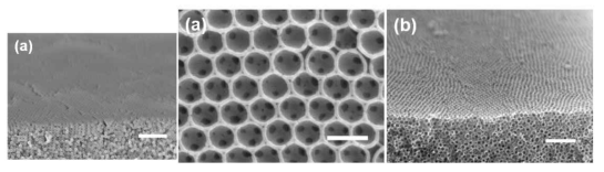 고분자 입자 콜로이드 결정과 이를 이용하여 제작한 역전된 오팔 TiO2 구조의 전자 현미경 사진