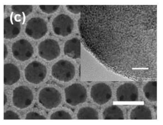 CdSe 테트라팟 양자점이 코팅된 역전 오팔 TiO2 구조의 전자 현미경 사진 및 투과 전자 현미경 사진