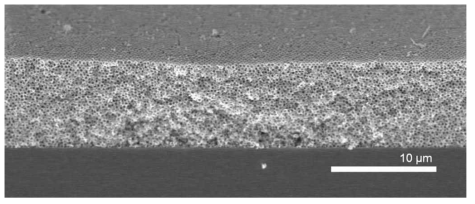 역전된 오팔 TiO2 구조의 전자 현미경 사진