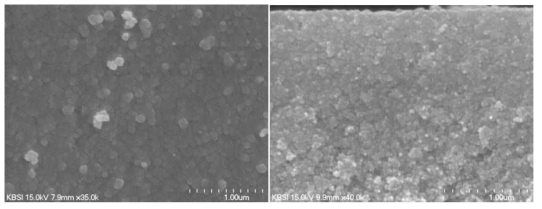 CdS 코팅 전후의 나노 입자형 상용 전극의 단면 전자 현미경 사진