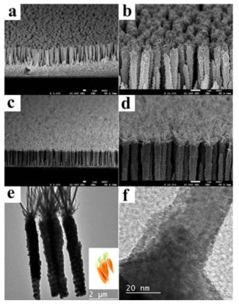 Flame vapour deposition (FVD) 방법으로 가지를 형성시킨 WO3 구조체의 전자현미경 사진(a-d) 및 투과 전자현미경 사진 (e-f)