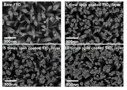 FTO 표면에 TiO2 층을 형성한 후에 수열합성으로 TiO2 나노 막대를 성장시켜 관찰한 SEM 사진