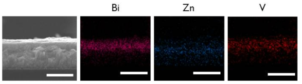 BiVO4/ZnO 평면 헤테로 접합 전극의 전자현미경을 통한 에너지 분산형 분광 분석법으로 확인한 Bi, Zn, V 원소