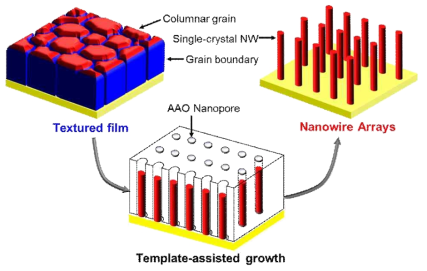 AAO 틀을 이용하여 제작한 나노선의 모식도