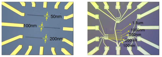 나노선 & 전극 패턴의 현미경 사진