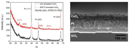 Pt 하부전극 위에 증착된 CeO2 박막의 XRD 분석 결과와 SEM 이미지