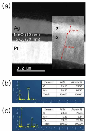 (a) Ag/MnO/Ta2O5/Pt 소자의 TEM 이미지, (b) Mn과 O의 원자비, (c) Ta과 O의 원자비