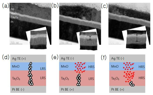 Ag/MnO/Ta2O5/Pt 소자의 TEM 이미지(a-c)와 전도성 필라멘트 모식도(d-f), (a)와 (d)는 LRS, (b)와 (e)는 IRS, (c)와 (f)는 HRS