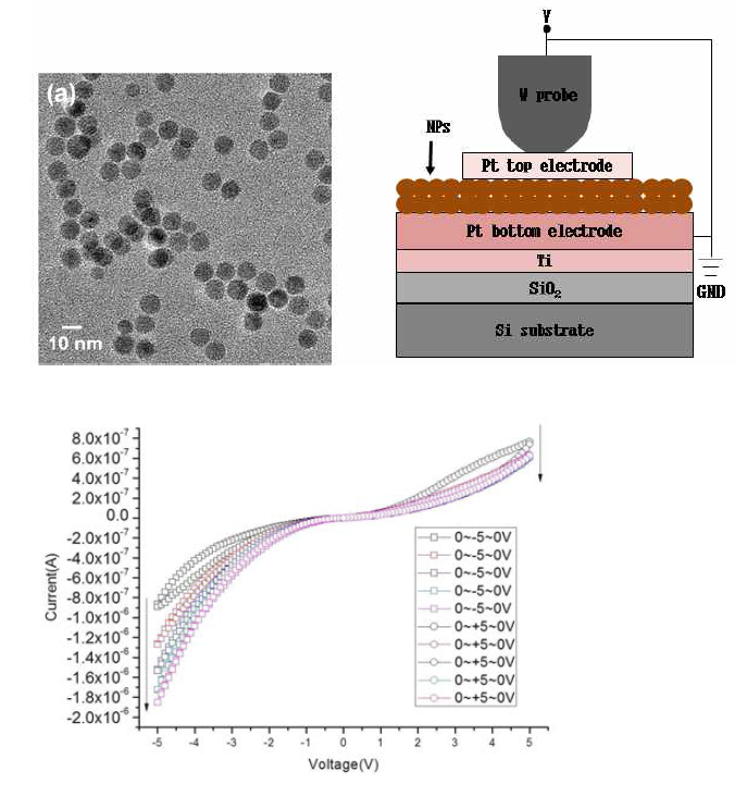 (a) Fe2O3 나노입자의 TEM, (b) Pt/Fe2O3/Pt 구조의 모식도, (c) Fe2O3 나노입자 소자의 전류 전압 특성(0→-5→0V로 반복 sweep시 아날로그 SET이 일어나며, 0→+5→0V로 반복 sweep시 아날로그 RESET이 일어나는 멤리스터 특성