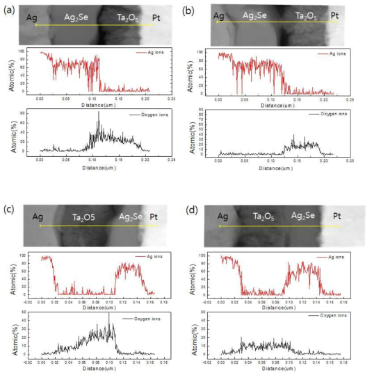 각 소자의 Ag 이온과 Oxygen 이온 분포도 (a) Ag/Ag2Se/Ta2O5/Pt 소자의 SET 상태, (b) Ag/Ag2Se/Ta2O5/Pt 소자의 RESET 상태, (c) Ag/Ta2O5/Ag2Se/Pt 소자의 SET 상태, (d) Ag/Ta2O5/Ag2Se/Pt 소자의 RESET 상태
