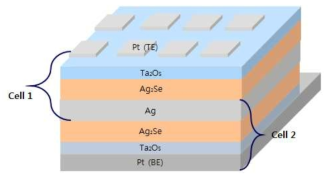 Pt/Ta2O5/Ag2Se/Ag/Ag2Se/Ta2O5/Pt 소자의 모식도